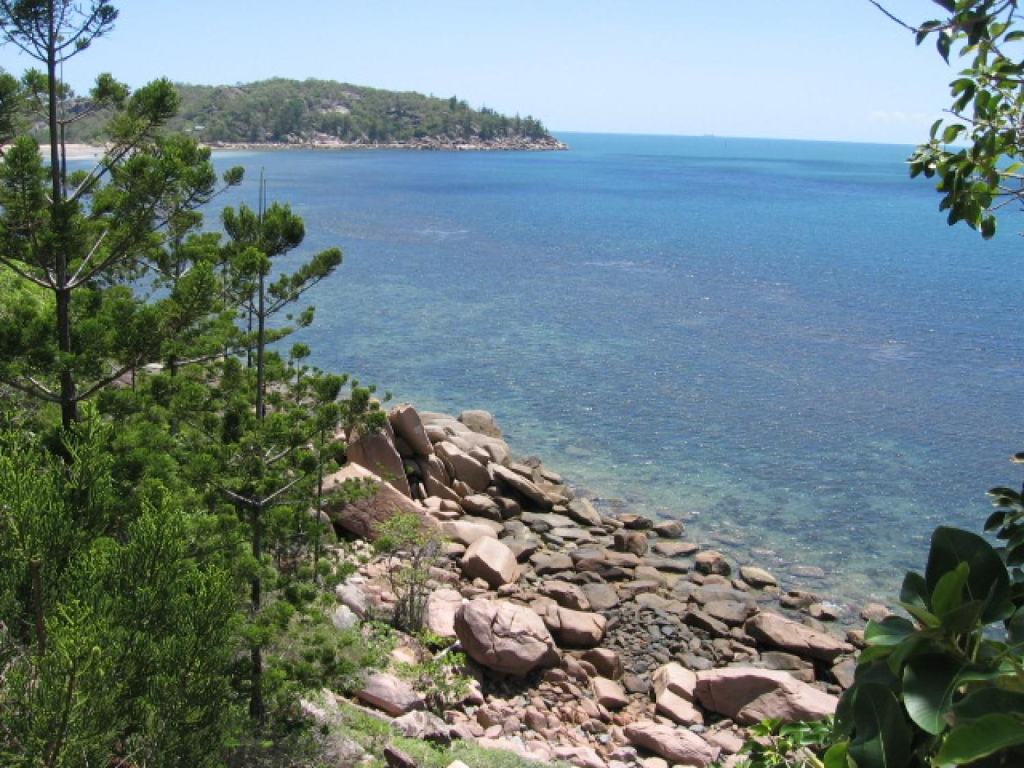 Affordable Island Escape! Queen Studio, Nelly Bay Exterior foto